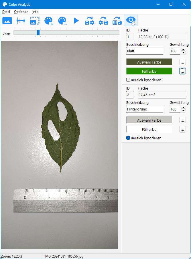 Screenshot: Grünes Blatt und Maßstab